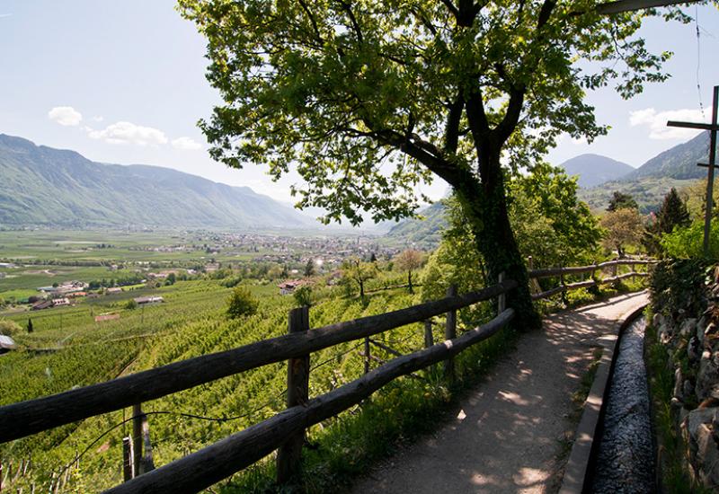 marlinger Waalweg in Meraner Land, South Tyrol