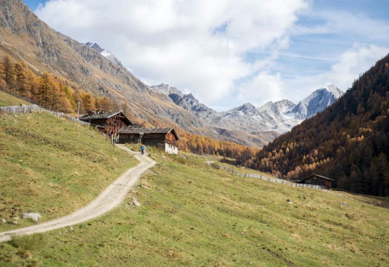 meraner Höhenweg in autumn