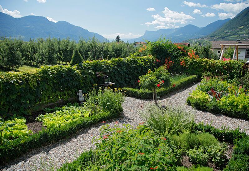 cottage garden