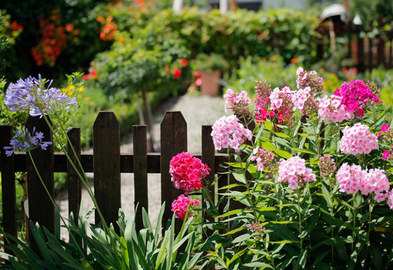 our flower-rich garden