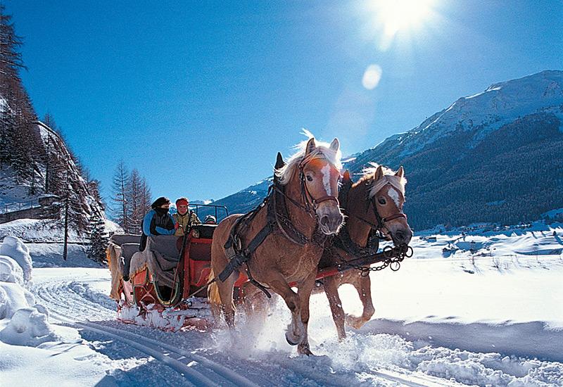 Pferdeschlittenfahrt durch die Winterlandschaft