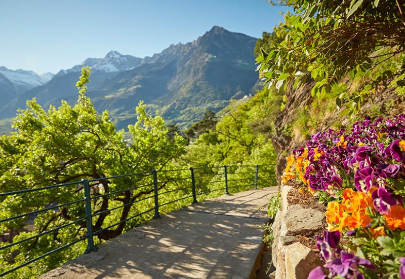 tappeinerweg in Merano